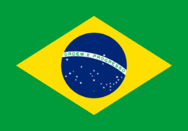 巴西 商务签证