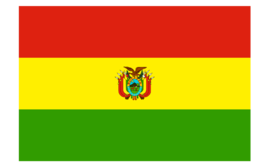 玻利维亚 商务签证