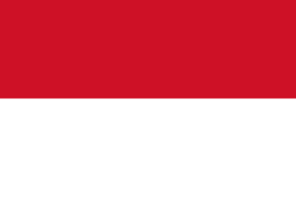 印度尼西亚 30天商务签证