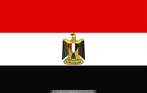 埃及 商务签证(自备邀请函)