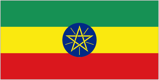 埃塞俄比亚 旅游签证