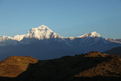 尼泊尔印度金三角雪山推荐观景台9日游 武汉到印度旅游