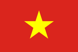 越南 30天单次旅游签
