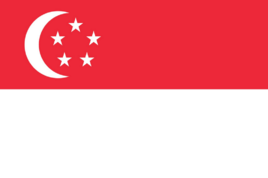 新加坡 旅游电子签证
