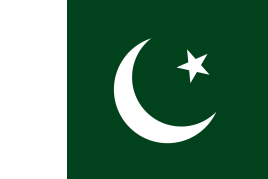 巴基斯坦 30天商务签证