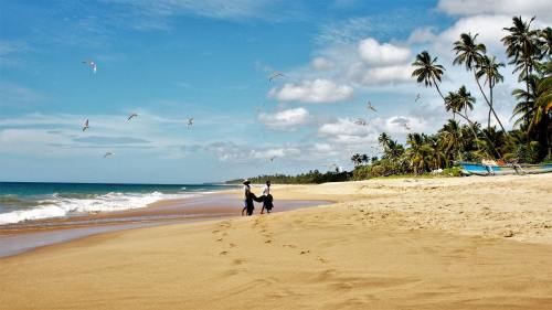 斯里兰卡超值7日游 武汉到斯里兰卡旅游